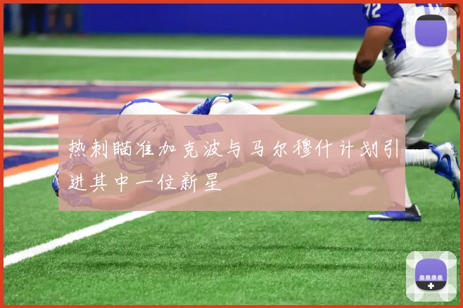 热刺瞄准加克波与马尔穆什计划引进其中一位新星