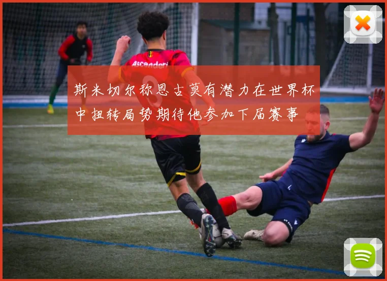 斯米切尔称恩古莫有潜力在世界杯中扭转局势期待他参加下届赛事